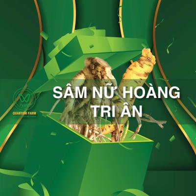 Sâm Nữ Hoàng ( 1kg tri ân thành viên )