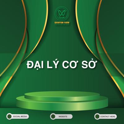 Đại lý cơ sở